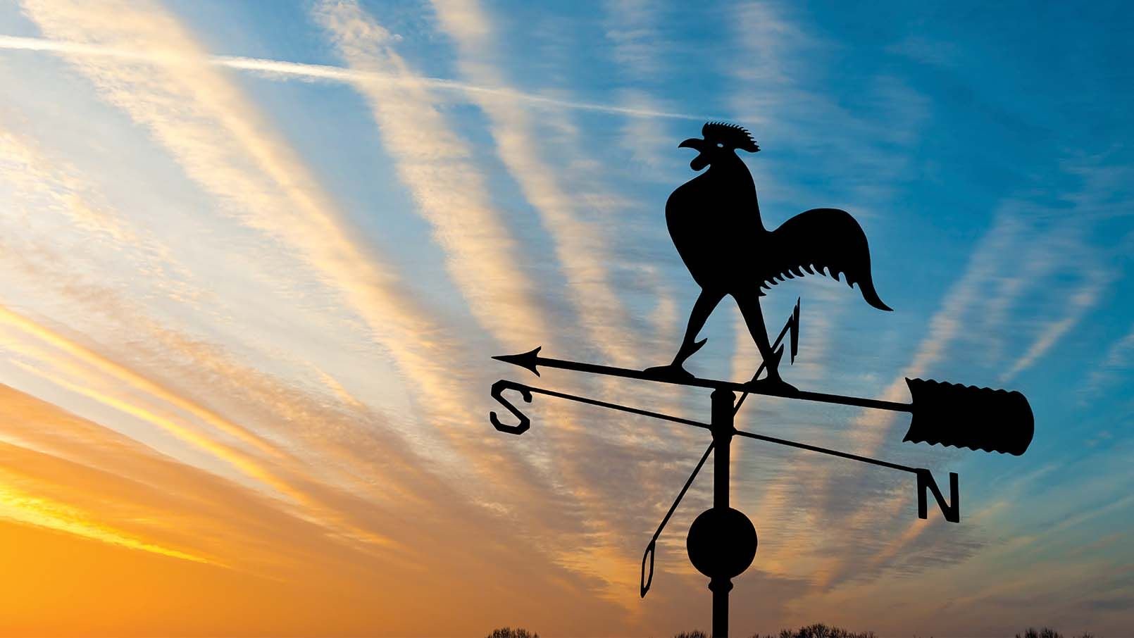 Eagle Trace Assisted Living